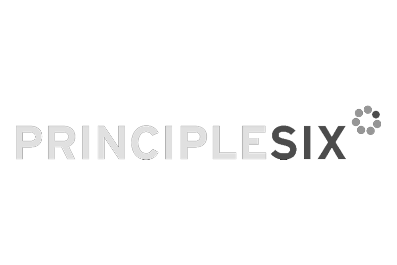 principle_six