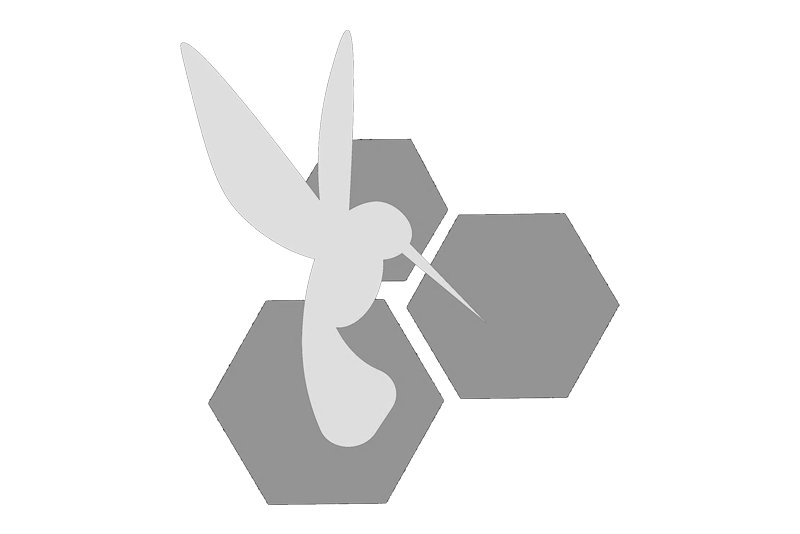 solidarity-economy-association